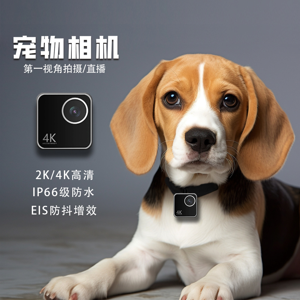 كاميرا ذكية للحيوانات الأليفة  - مراجعة Cameras وسعره
